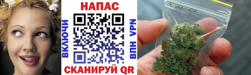 как найти   Печора  Конопля SATIVA & INDICA 